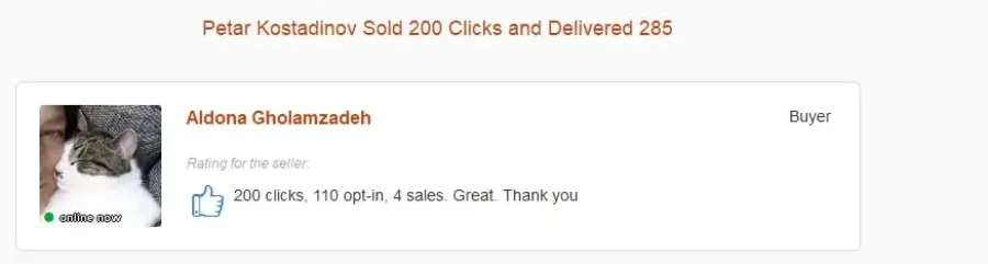 Aldona: 200 clicks, 110 opt-in, 4 sales