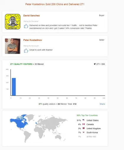 Solo ads buyer result screenshot
