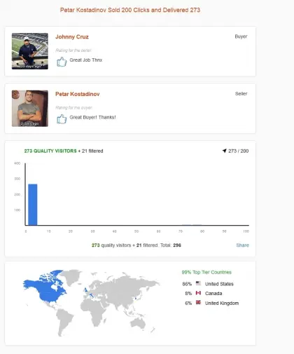 Solo ads buyer result screenshot