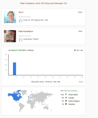 Solo ads buyer result screenshot