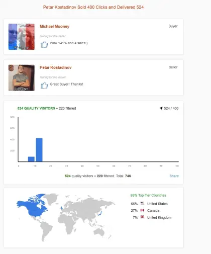 Solo ads buyer result screenshot