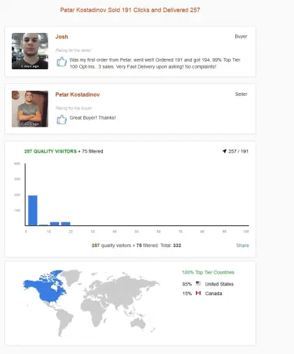 Solo ads buyer result screenshot