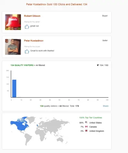 Solo ads buyer result screenshot