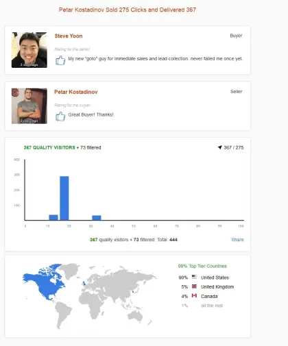 Solo ads buyer result screenshot