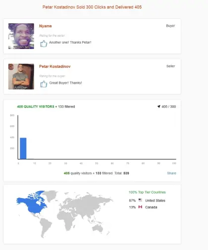 Solo ads buyer result screenshot
