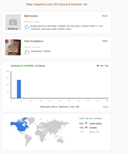 Solo ads buyer result screenshot