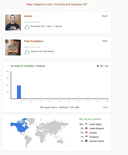 Solo ads buyer result screenshot