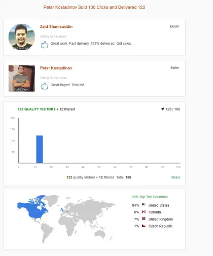 Solo ads buyer result screenshot