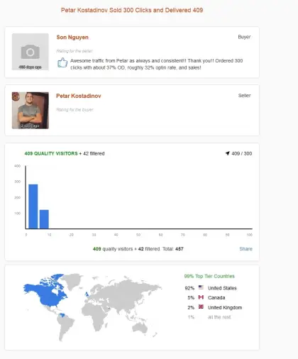 Solo ads buyer result screenshot