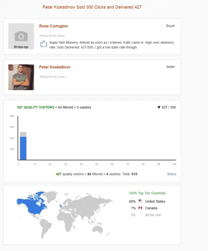 Solo ads buyer result screenshot