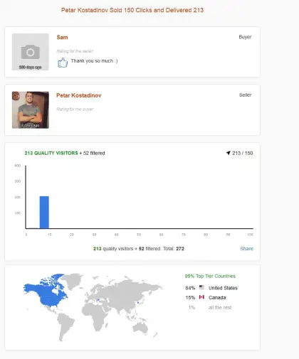 Solo ads buyer result screenshot