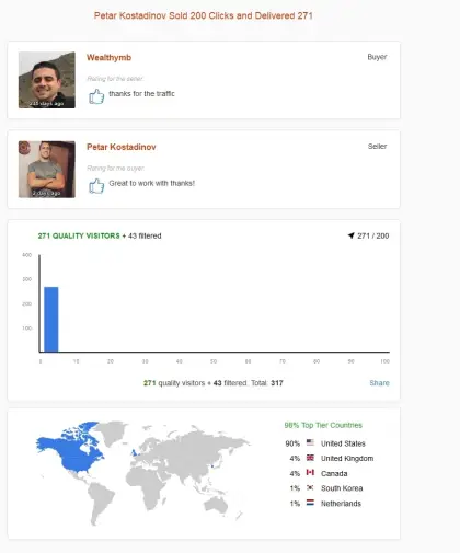 Solo ads buyer result screenshot