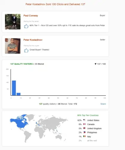 Solo ads buyer result screenshot